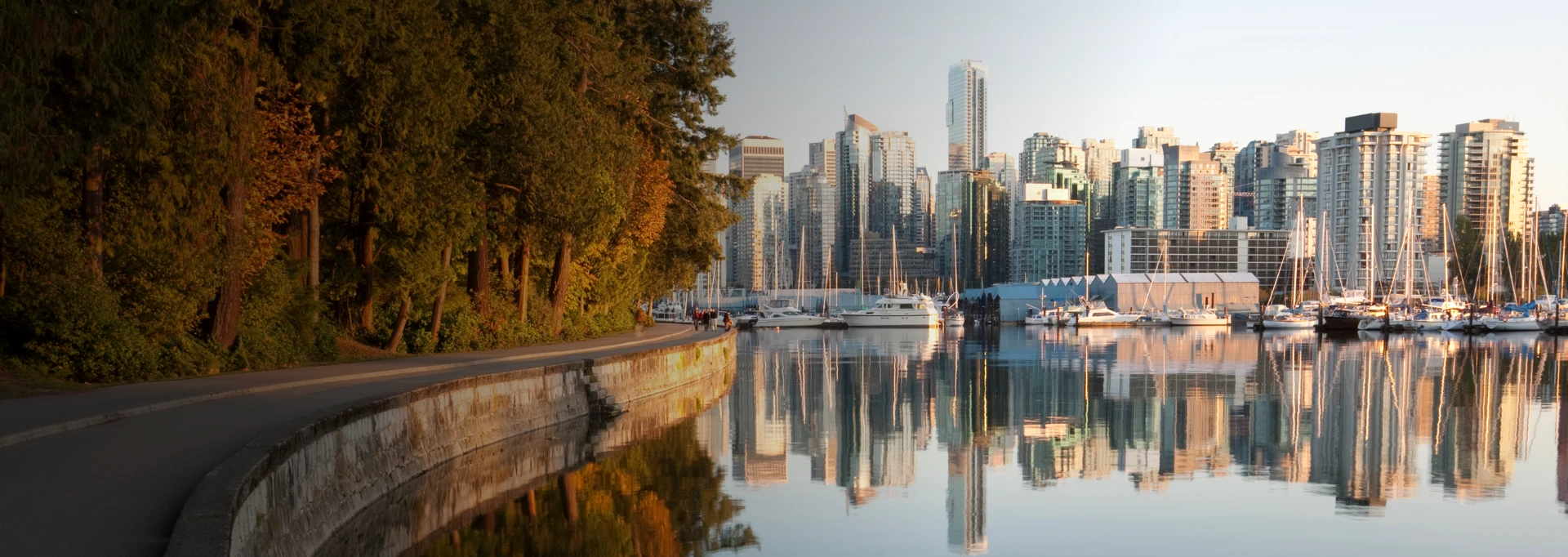 Greg Lauer, Barrister & Solicitor